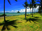 Summer wallpapers71